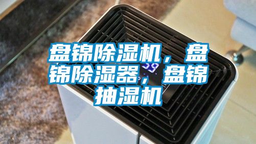 盤錦91看片在线下载機，盤錦91看片在线下载器，盤錦抽濕機
