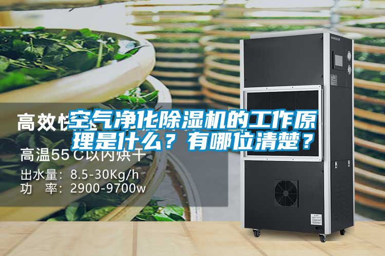 空氣淨化91看片在线下载機的工作原理是什麽？有哪位清楚？