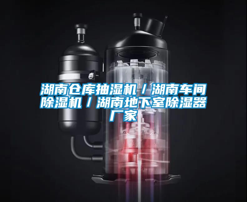 湖南倉庫抽濕機／湖南車間91看片在线下载機／湖南地下室91看片在线下载器廠家