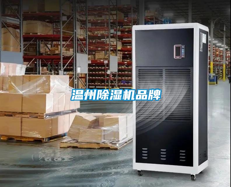 溫州91看片在线下载機品牌