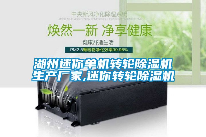 湖州迷你單機轉輪91看片在线下载機生產廠家,迷你轉輪91看片在线下载機
