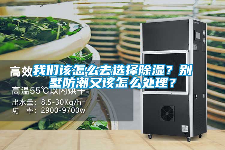 91免费看片APP該怎麽去選擇91看片在线下载？別墅防潮又該怎麽處理？