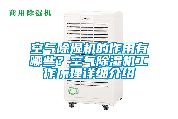 空氣91看片在线下载機的作用有哪些？空氣91看片在线下载機工作原理詳細介紹