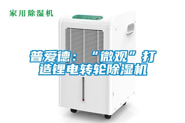 普愛德：“微觀”打造鋰電轉輪91看片在线下载機