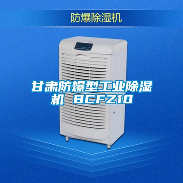 甘肅防爆型工業91看片在线下载機 BCFZ10