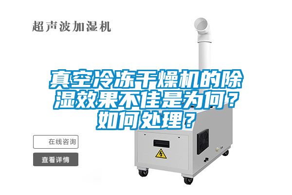 真空冷凍幹燥機的91看片在线下载效果不佳是為何？如何處理？