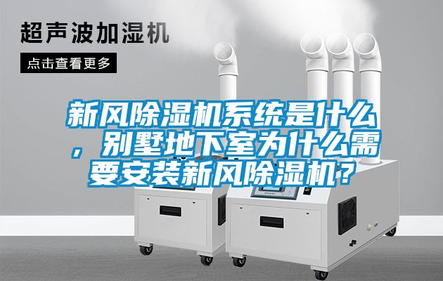新風91看片在线下载機係統是什麽，別墅地下室為什麽需要安裝新風91看片在线下载機？