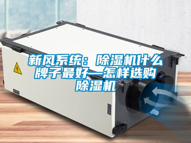 新風係統：91看片在线下载機什麽牌子最好—怎樣選購91看片在线下载機