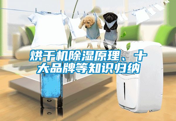 烘幹機91看片在线下载原理、十大品牌等知識歸納