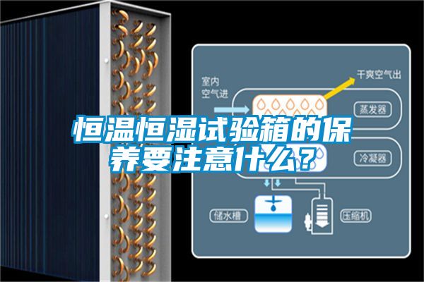 恒溫恒濕試驗箱的保養要注意什麽？