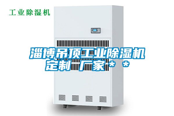 淄博吊頂工業91看片在线下载機定製 廠家＊＊