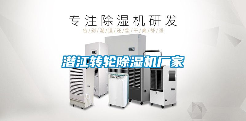 潛江轉輪91看片在线下载機廠家