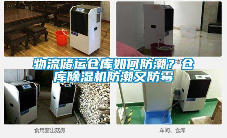 物流儲運倉庫如何防潮？倉庫91看片在线下载機防潮又防黴