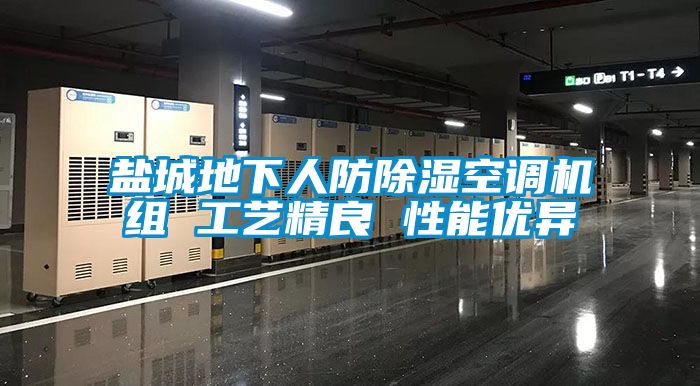 鹽城地下人防91看片在线下载空調機組 工藝精良 性能優異