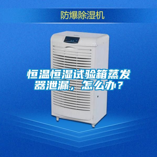 恒溫恒濕試驗箱蒸發器泄漏，怎麽辦？