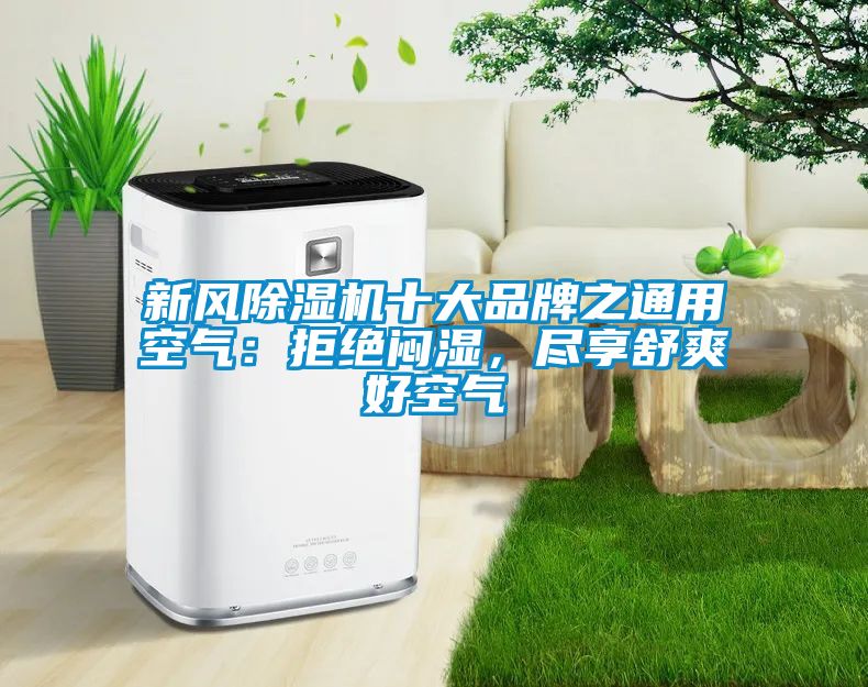 新風91看片在线下载機十大品牌之通用空氣：拒絕悶濕，盡享舒爽好空氣