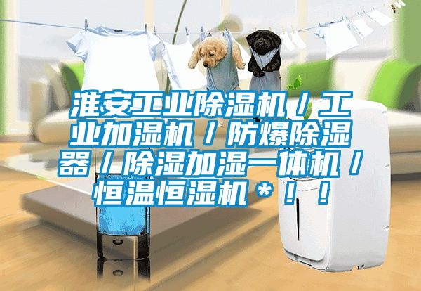 淮安工業91看片在线下载機／工業加濕機／防爆91看片在线下载器／91看片在线下载加濕一體機／恒溫恒濕機＊！！