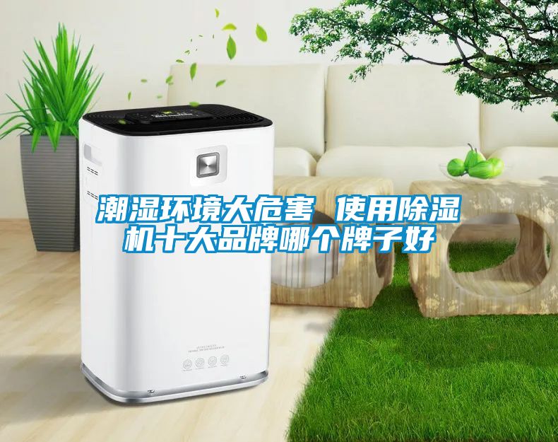 潮濕環境大危害 使用91看片在线下载機十大品牌哪個牌子好