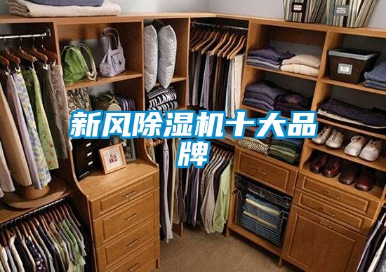 新風91看片在线下载機十大品牌