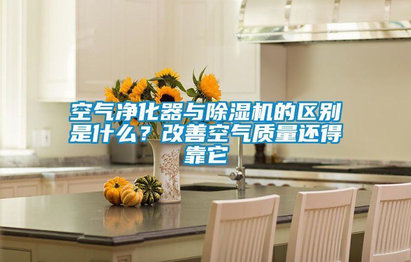 空氣淨化器與91看片在线下载機的區別是什麽？改善空氣質量還得靠它