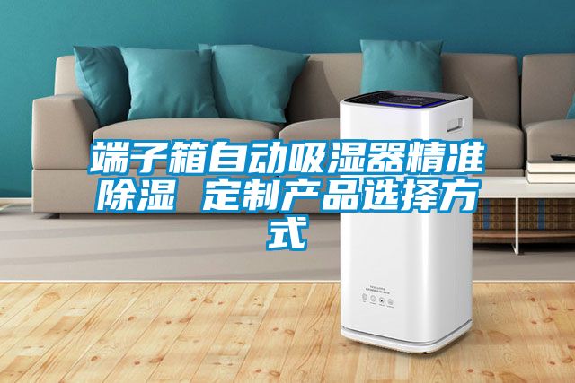 端子箱自動吸濕器精準91看片在线下载 定製產品選擇方式