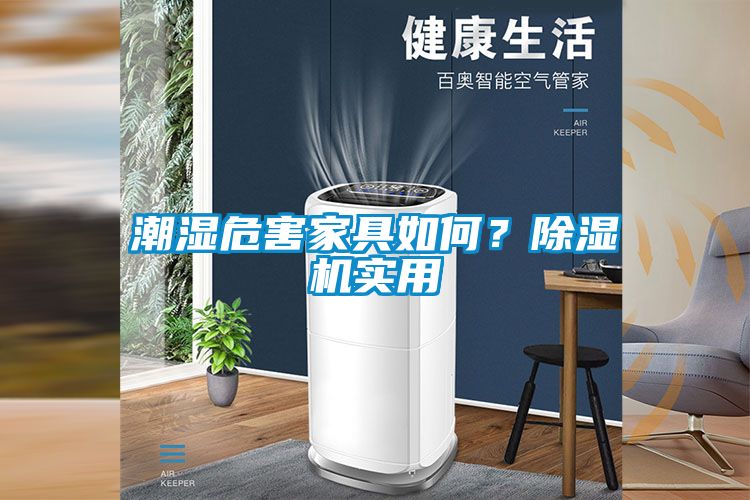 潮濕危害家具如何？91看片在线下载機實用