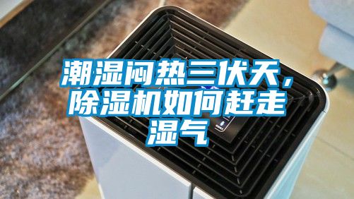 潮濕悶熱三伏天，91看片在线下载機如何趕走濕氣