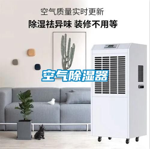 空氣91看片在线下载器