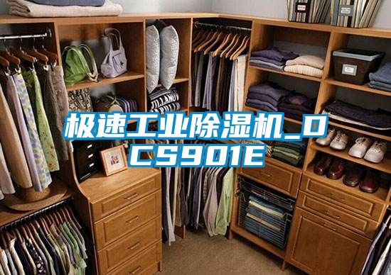 極速工業91看片在线下载機_DCS901E