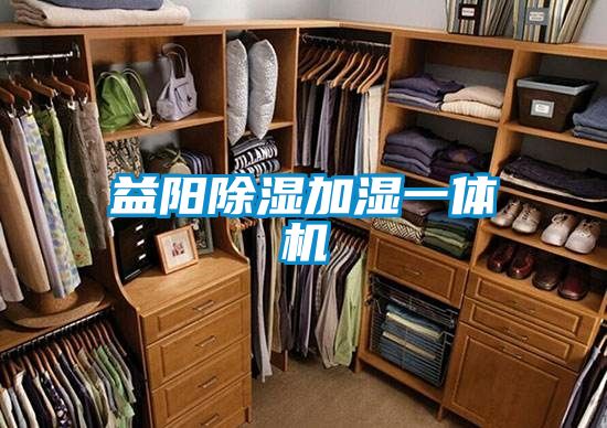 益陽91看片在线下载加濕一體機