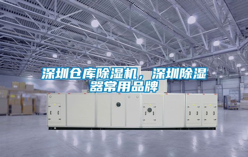 深圳倉庫91看片在线下载機，深圳91看片在线下载器常用品牌