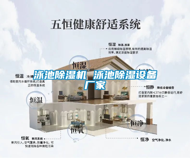 泳池91看片在线下载機 泳池91看片在线下载設備廠家