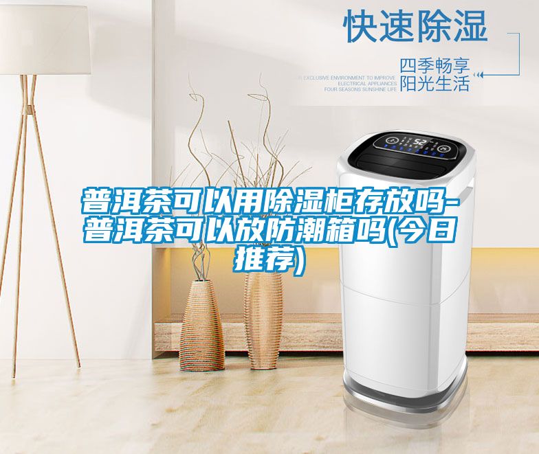 普洱茶可以用91看片在线下载櫃存放嗎-普洱茶可以放防潮箱嗎(今日推薦)