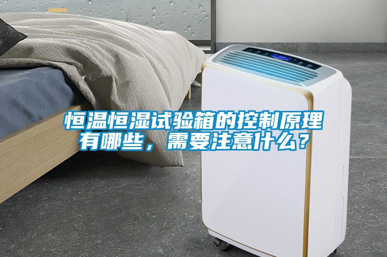 恒溫恒濕試驗箱的控製原理有哪些，需要注意什麽？
