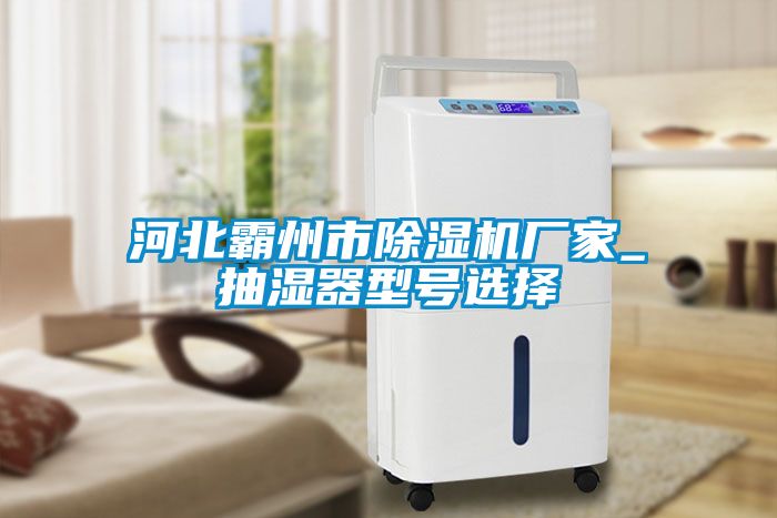 河北霸州市91看片在线下载機廠家_抽濕器型號選擇