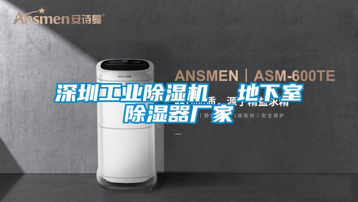 深圳工業91看片在线下载機  地下室91看片在线下载器廠家