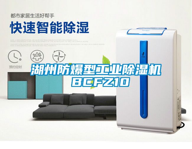 湖州防爆型工業91看片在线下载機 BCFZ10