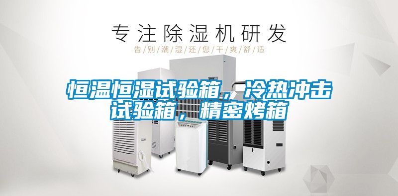 恒溫恒濕試驗箱，冷熱衝擊試驗箱，精密烤箱