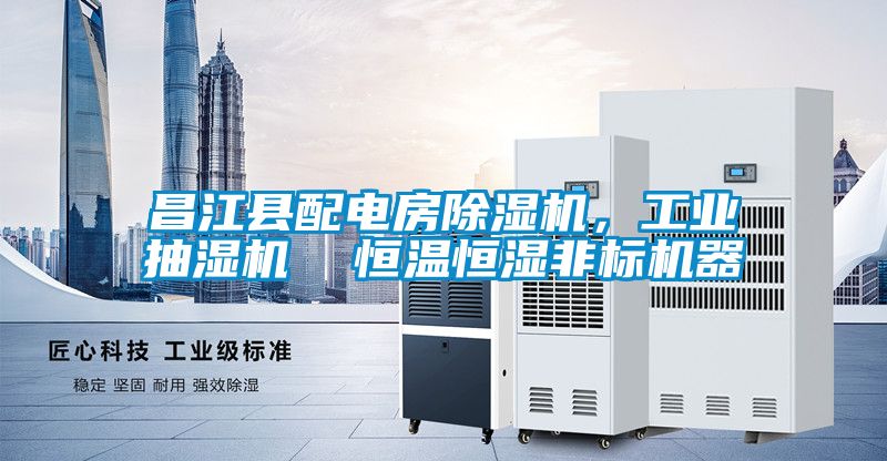 昌江縣配電房91看片在线下载機，工業抽濕機  恒溫恒濕非標機器