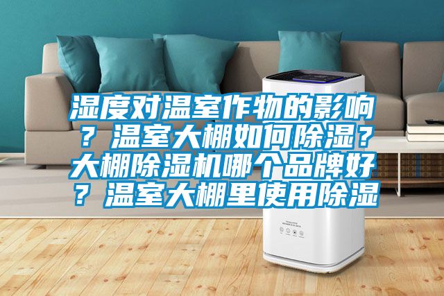 濕度對溫室作物的影響？溫室大棚如何91看片在线下载？大棚91看片在线下载機哪個品牌好？溫室大棚裏使用91看片在线下载