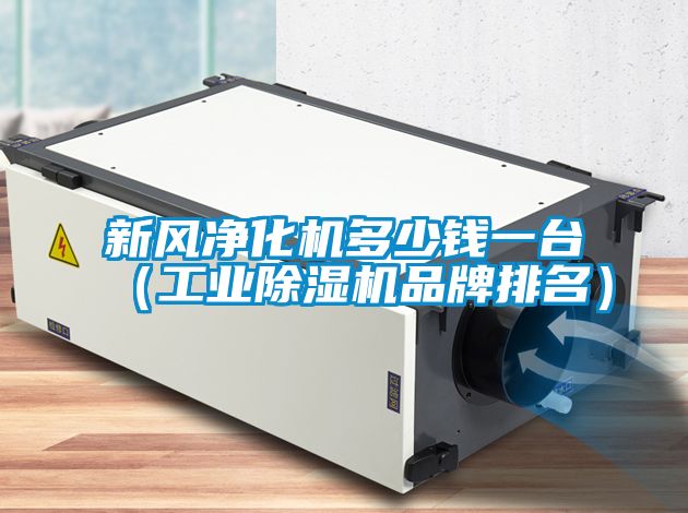 新風淨化機多少錢一台（工業91看片在线下载機品牌排名）