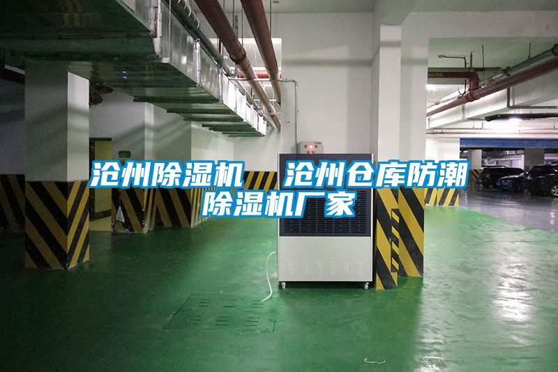 滄州91看片在线下载機  滄州倉庫防潮91看片在线下载機廠家