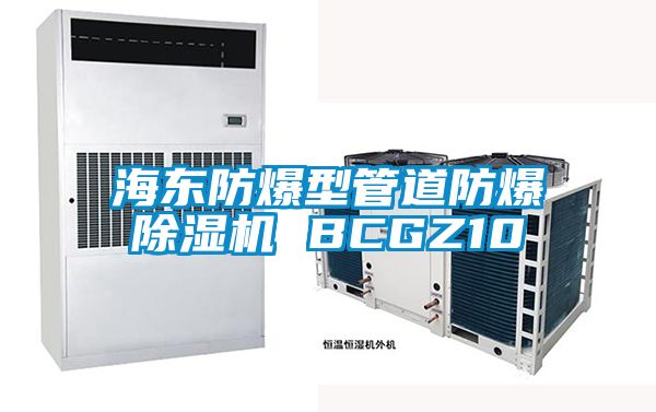 海東防爆型管道防爆91看片在线下载機 BCGZ10
