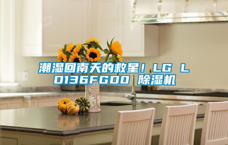 潮濕回南天的救星！LG LD136FGD0 91看片在线下载機