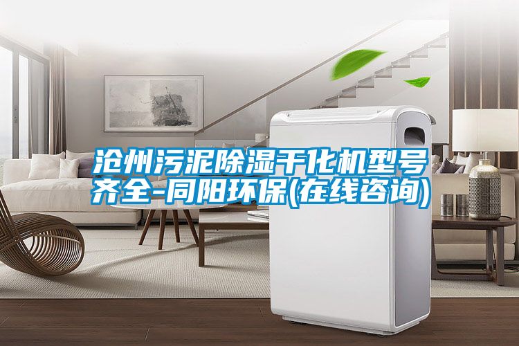 滄州汙泥91看片在线下载幹化機型號齊全-同陽環保(在線谘詢)