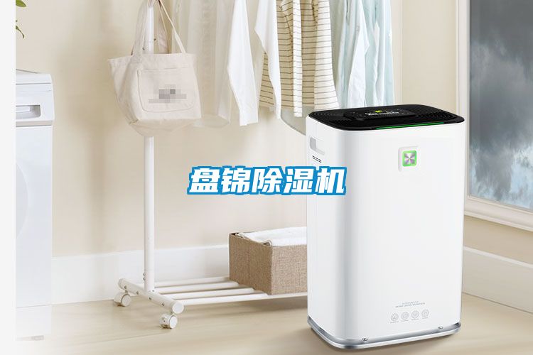 盤錦91看片在线下载機