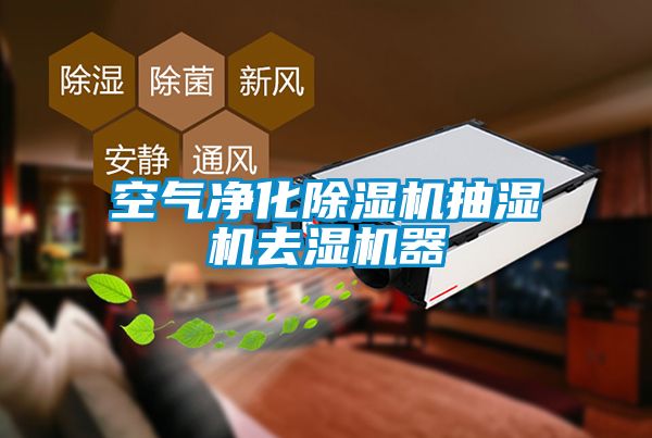 空氣淨化91看片在线下载機抽濕機去濕機器