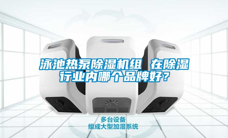 泳池熱泵91看片在线下载機組 在91看片在线下载行業內哪個品牌好？