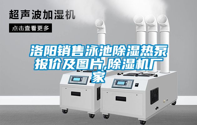洛陽銷售泳池91看片在线下载熱泵報價及圖片,91看片在线下载機廠家