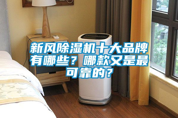 新風91看片在线下载機十大品牌有哪些？哪款又是最可靠的？